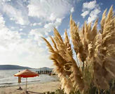  Alacati - S�zer Sundreams 4,5*